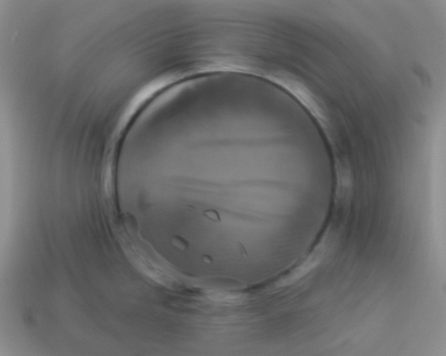 X0000113281246200910130958