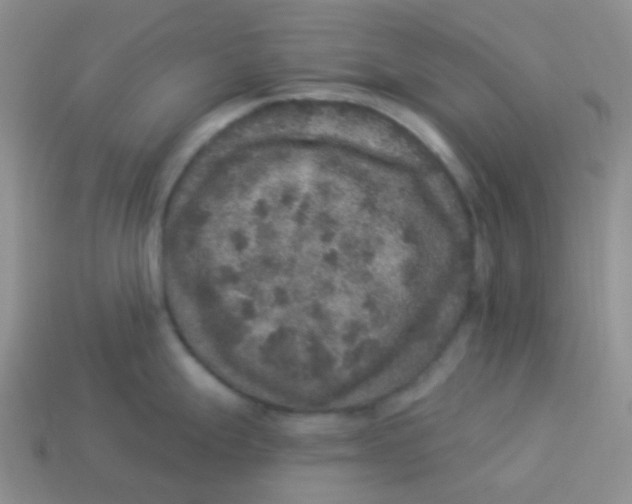 X0000113281247200910130959