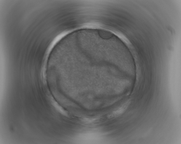 X0000113281248200910130959