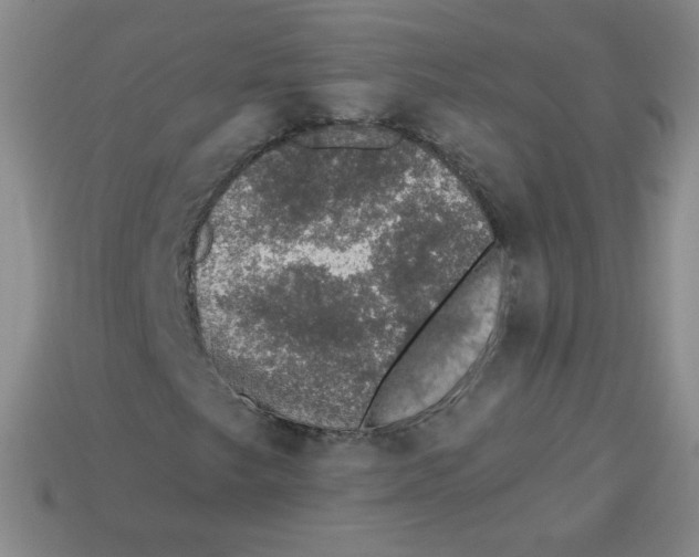 X0000113281249200910130958