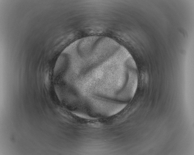 X0000113281250200910130958