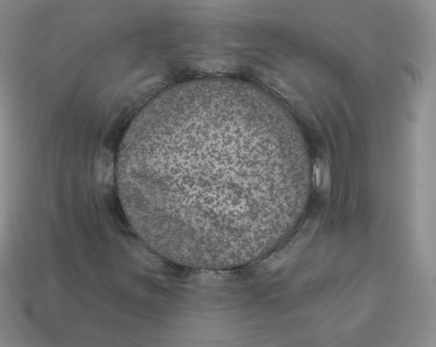 X0000113281251200910130958