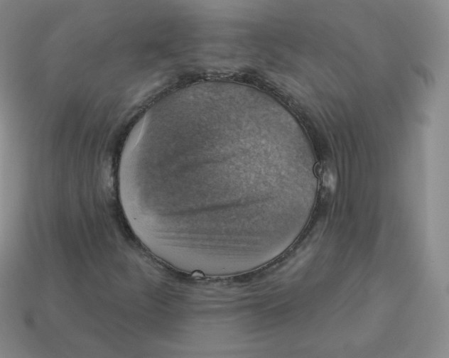 X0000113281252200910130958