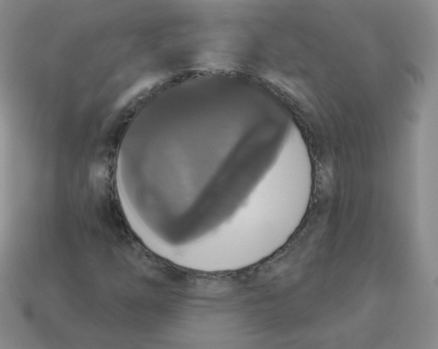 X0000113281254200910130958