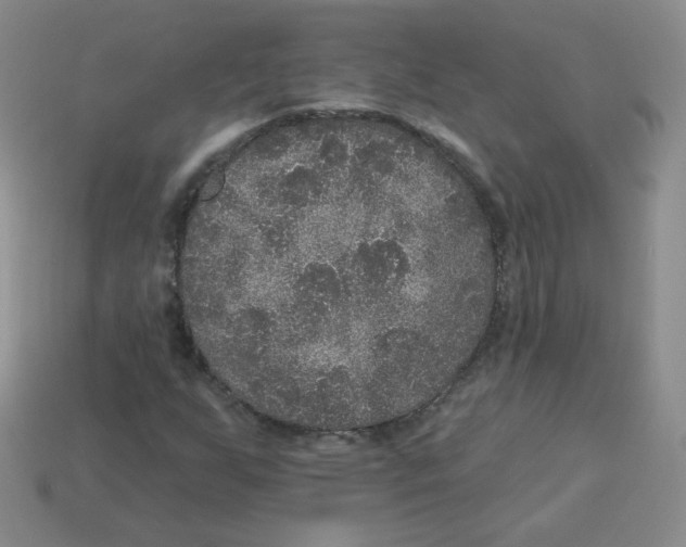 X0000113281255200910130958