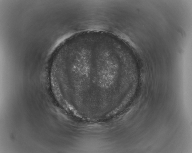 X0000113281256200910130958