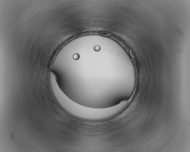 X0000113281257200910130958