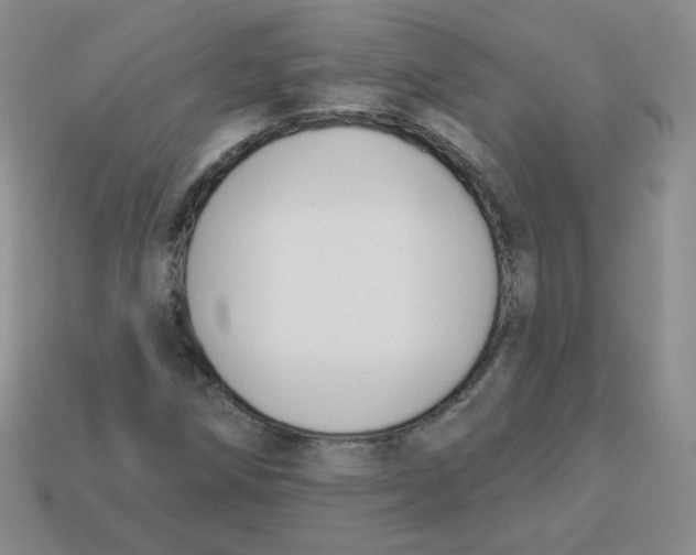 X0000113281258200910130958