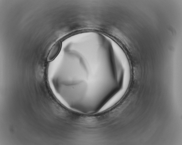 X0000113281260200910130958