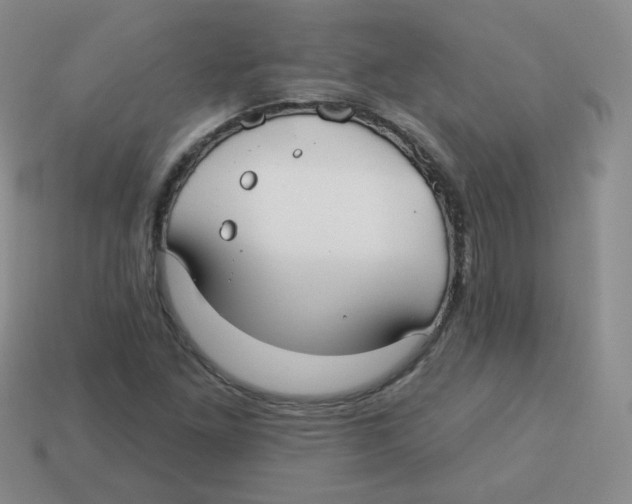 X0000113281261200910130958