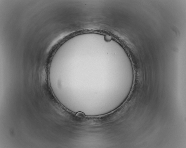 X0000113281262200910130958