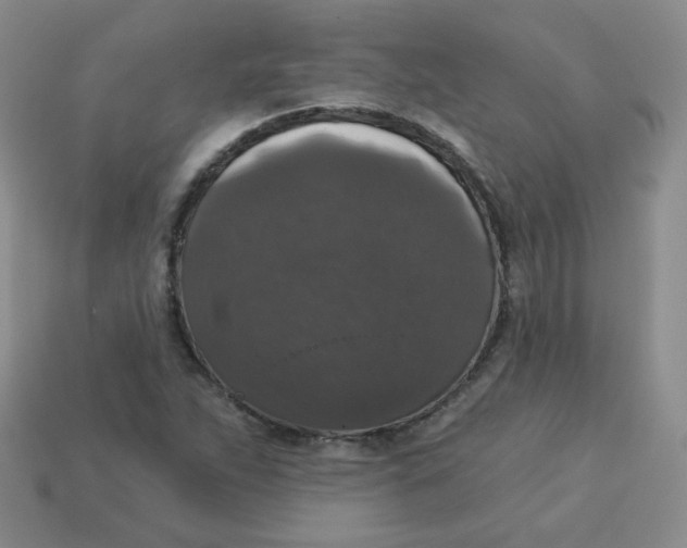 X0000113281263200910130958