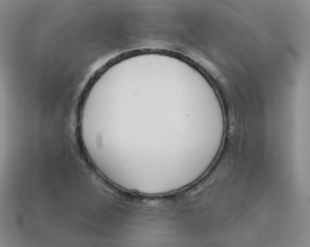 X0000113281264200910130958