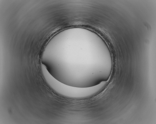 X0000113281265200910130958