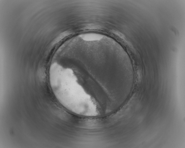 X0000113281266200910130958