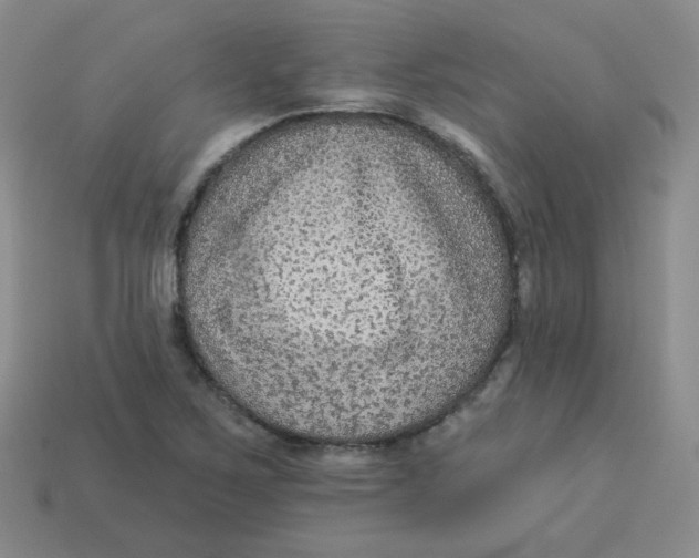 X0000113281267200910130958