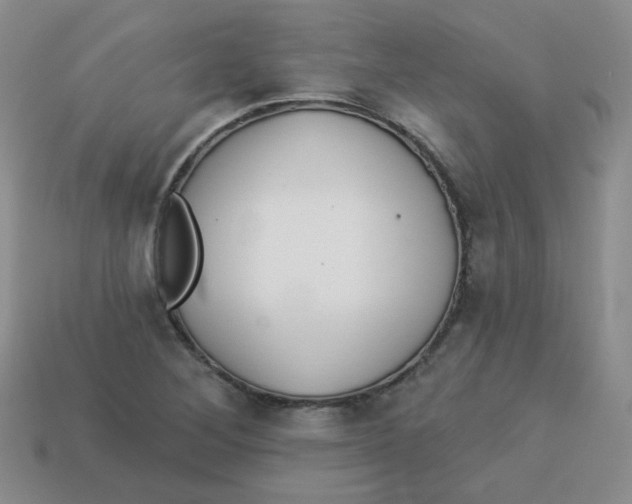 X0000113281268200910130958