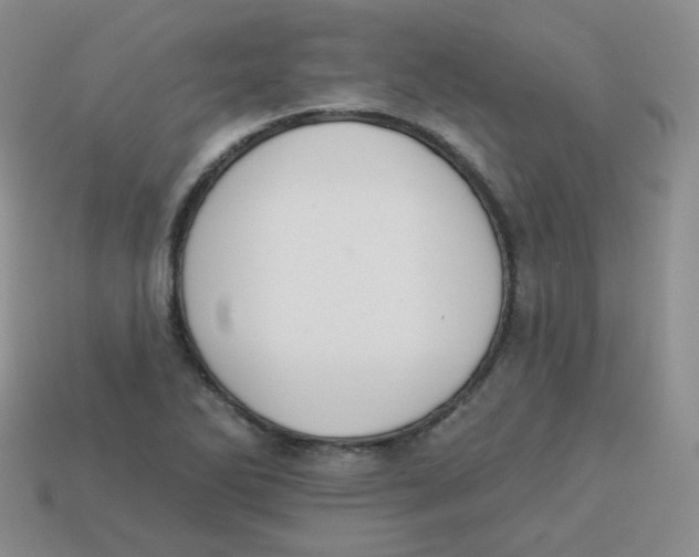 X0000113281270200910130958