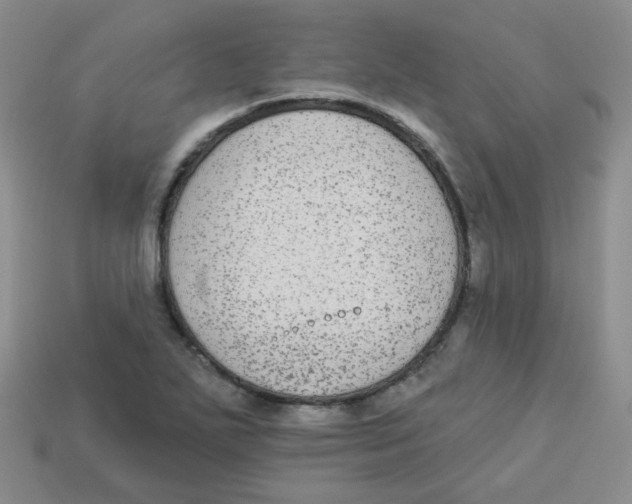 X0000113281271200910130958