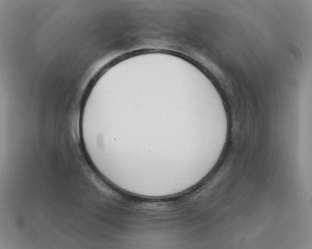 X0000113281272200910130958