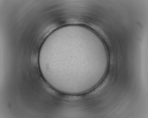 X0000113281273200910130958