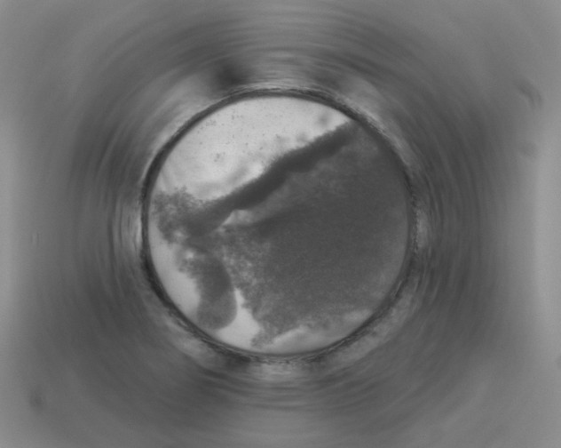 X0000113281274200910130958