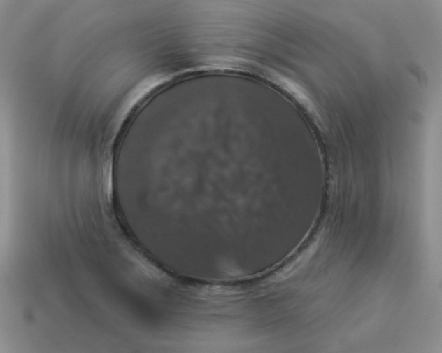 X0000113281275200910130958