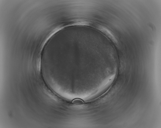 X0000113281276200910130958