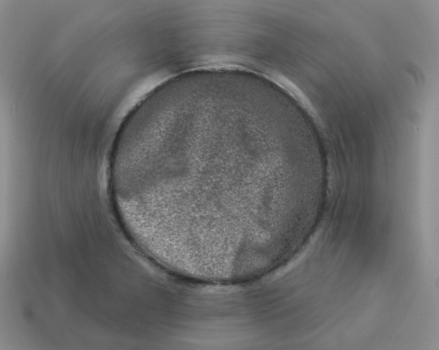X0000113281277200910130958