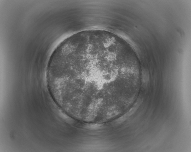 X0000113281278200910130958