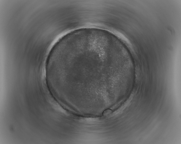X0000113281280200910130958