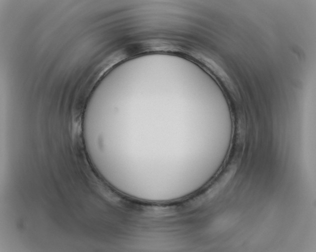 X0000113281281200910130957