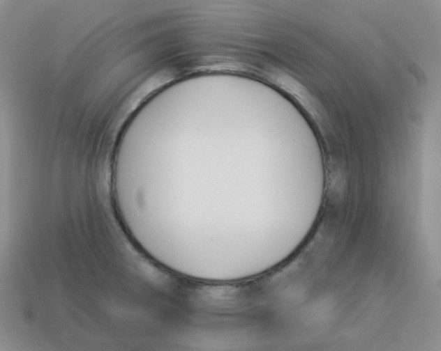 X0000113281282200910130957