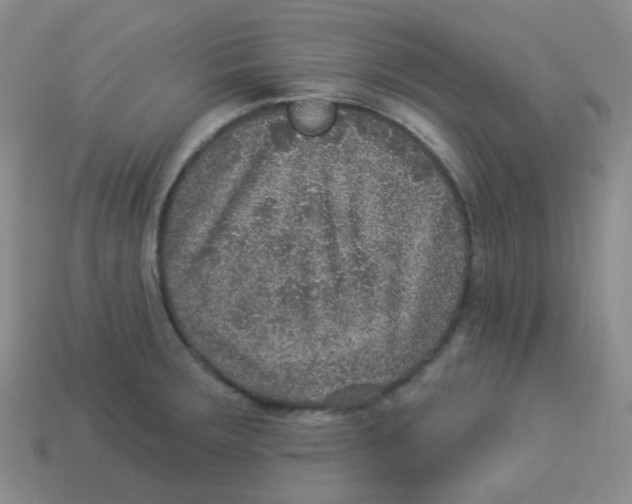 X0000113281283200910130957