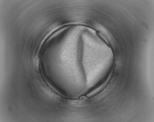 X0000113281284200910130957