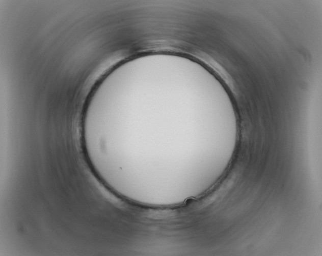 X0000113281285200910130957