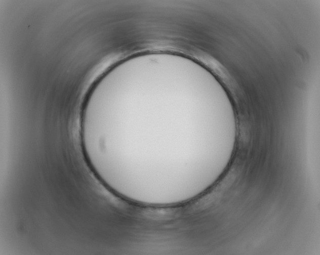 X0000113281286200910130957