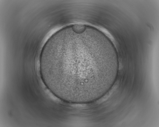 X0000113281287200910130957