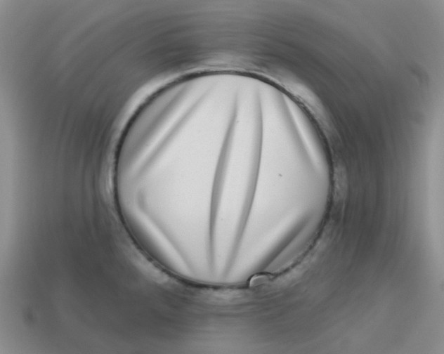 X0000113281288200910130957