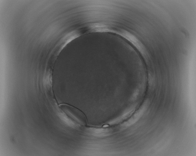 X0000113281289200910130957