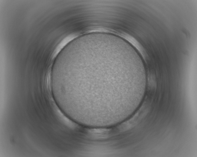 X0000113281290200910130957