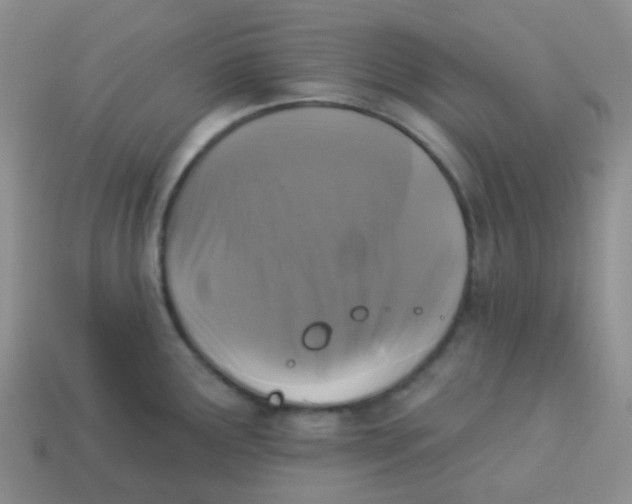 X0000113281291200910130957