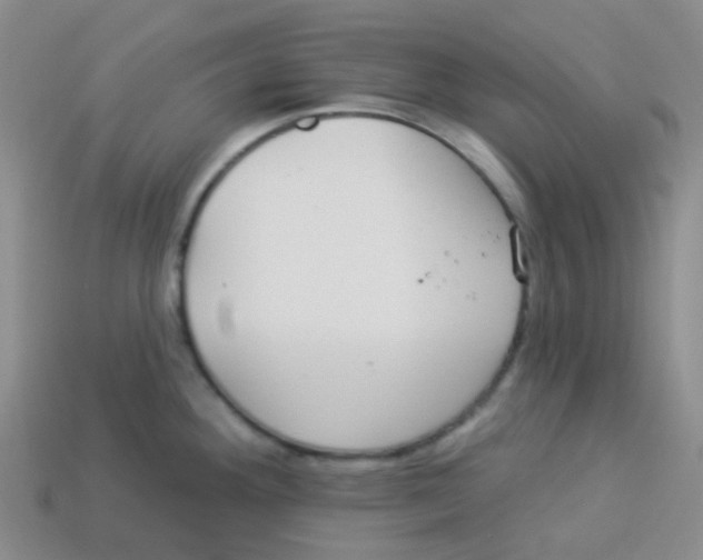 X0000113281292200910130957