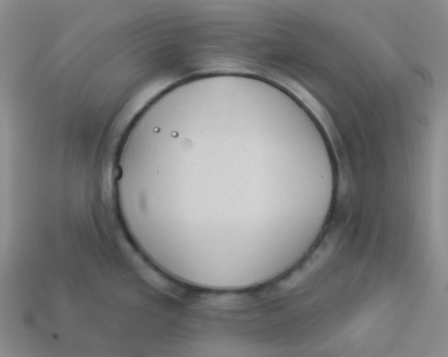 X0000113281293200910130957