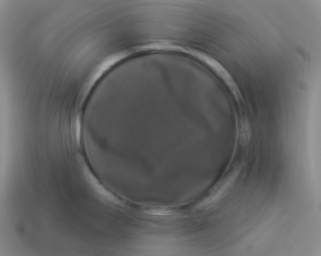 X0000113281295200910130957