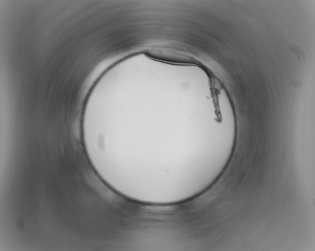 X0000113281296200910130957