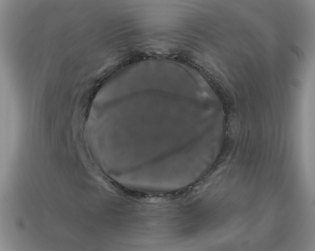 X0000113281297200910130957