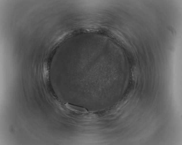 X0000113281298200910130957