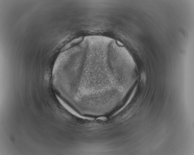 X0000113281300200910130957