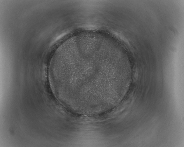 X0000113281301200910130957